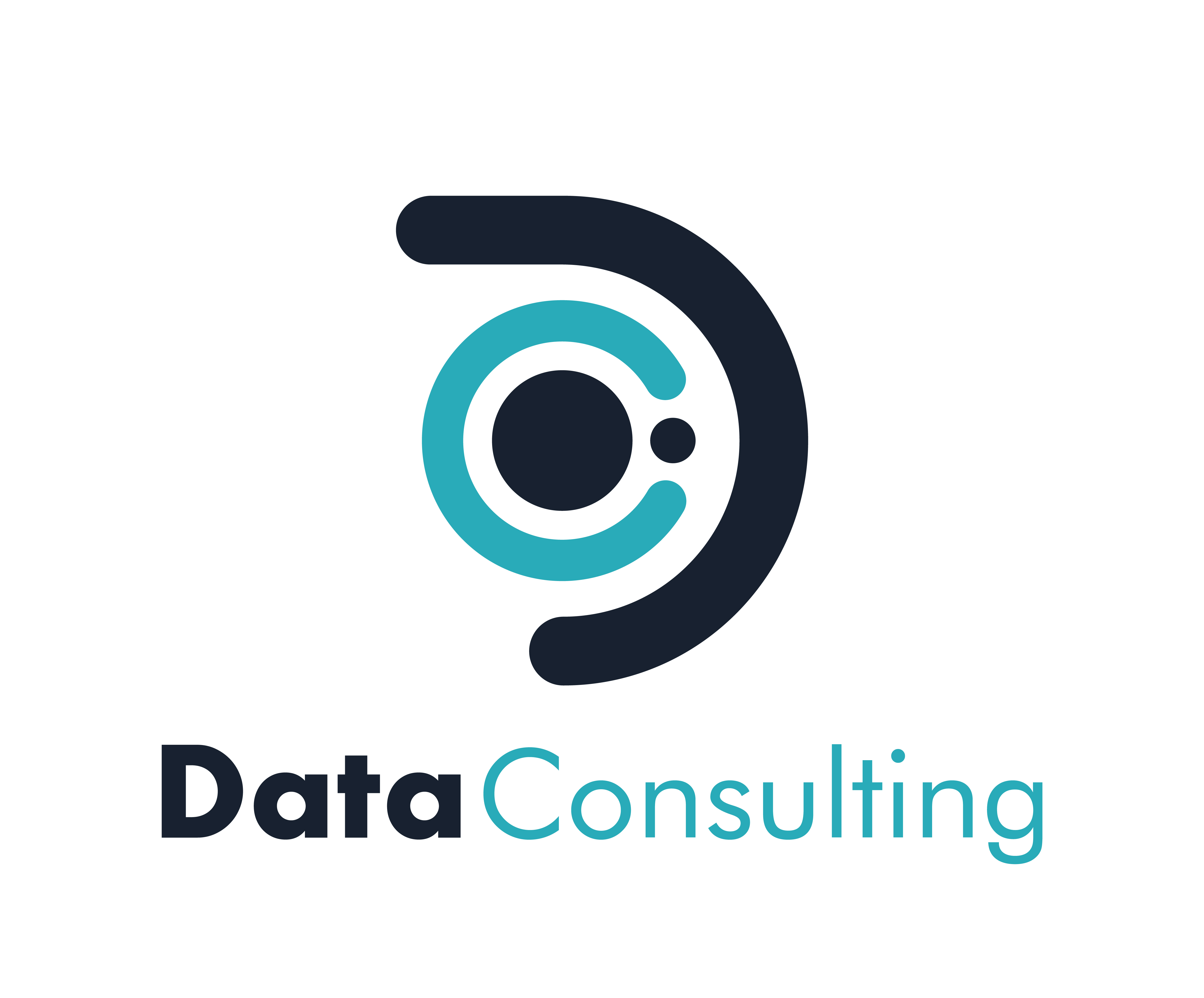 Datainfo Consulturia y Asesoria SL